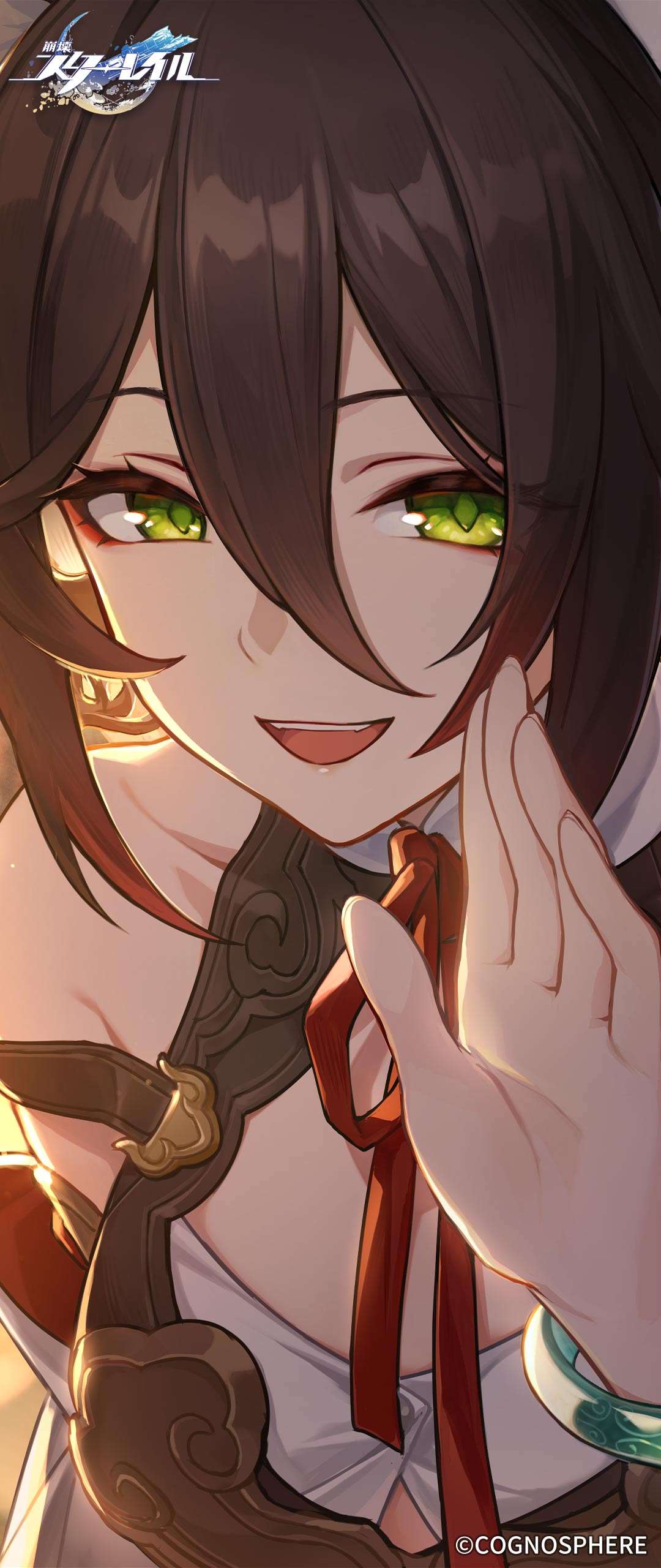 HSR Wallpaper pt2 - QooApp User Notes